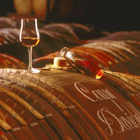 Willa Luxury In France With Pool *