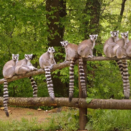 Willa Luxury In France With Pool