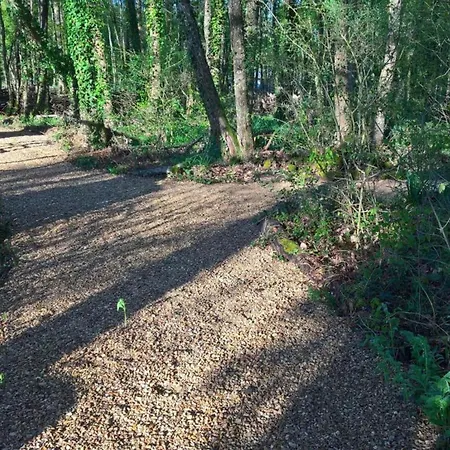 Willa Luxury In France With Pool